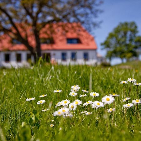 فندق Gutshaus Ketelshagen بوتبوس المظهر الخارجي الصورة