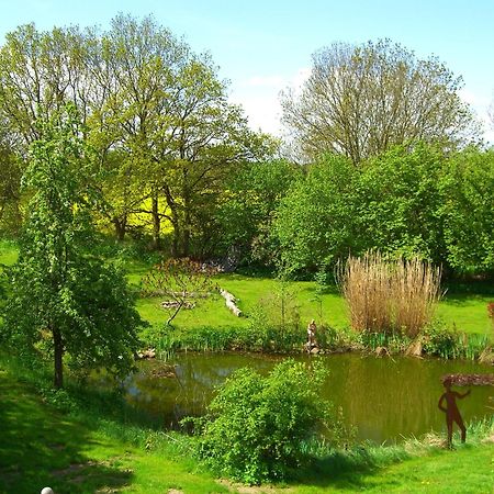 فندق Gutshaus Ketelshagen بوتبوس المظهر الخارجي الصورة